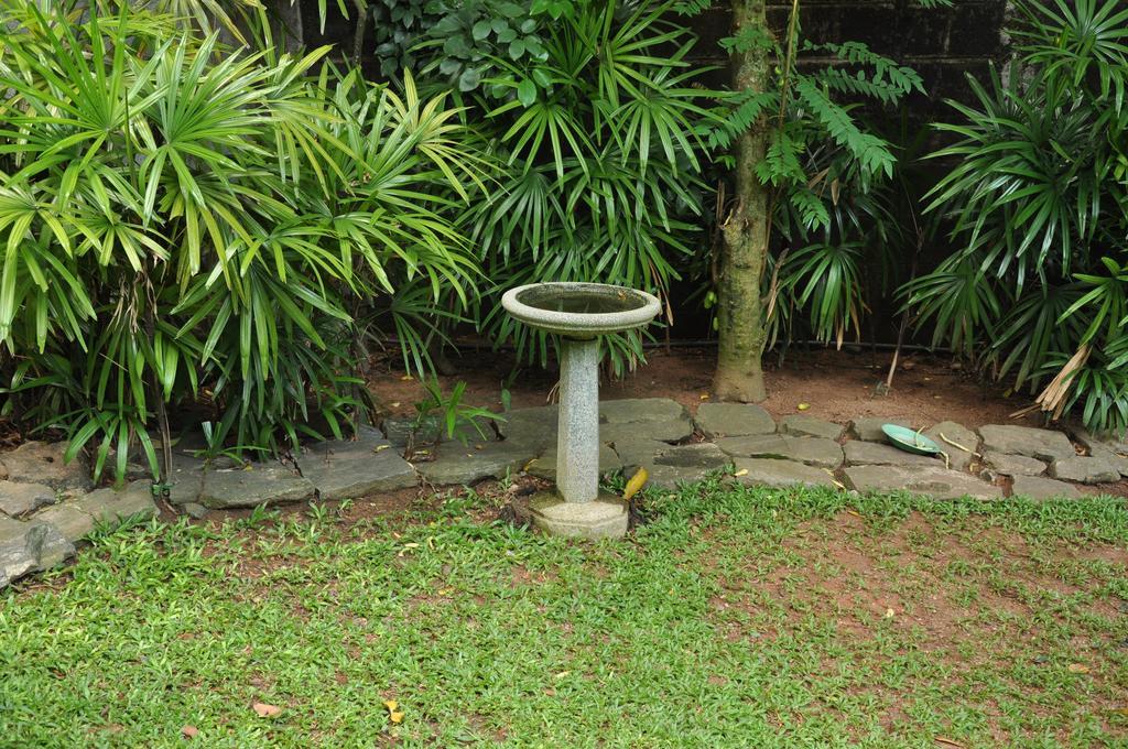 Bed and Breakfast Bangalawa Nawala Esterno foto